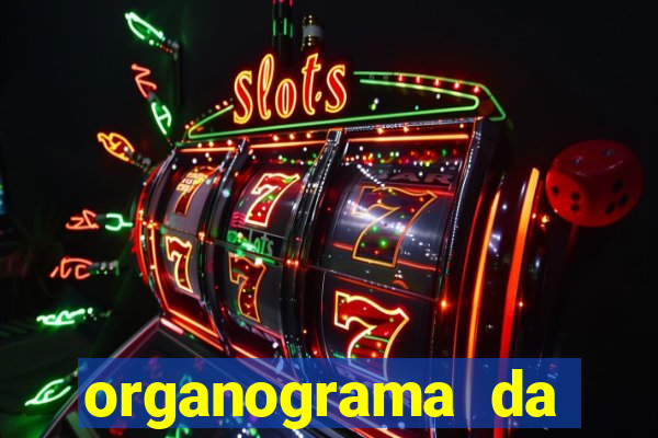 organograma da cacau show